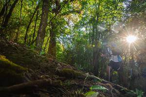 BIB: 
                            <button type="button" onclick="openModal(16015613)" class="btn btn-primary btn-sm float-right btn-popup" data-toggle="modal" data-target=".modal-high-quality">
                        <i class="fas fa-shopping-cart"></i> Add to Cart
                    </button>
                                            <button type="button" onclick="isThisMe(16015613, true)" class="btn btn-success btn-sm float-right btn-popup btn-isme hidden" data-toggle="tooltip" data-placement="bottom" title="นี่คือรูปของคุณใช่ไหม คลิกที่นี่เพื่อเอาเข้าอัลบั้ม">
                        <i class="fas fa-plus"></i> Add to album
                    </button>
                    <button type="button" onclick="isThisMe(16015613, false)" class="btn btn-warning btn-sm float-right btn-popup btn-isnotme hidden">
                        <i class="fas fa-ban"></i> Remove from album
                    </button>